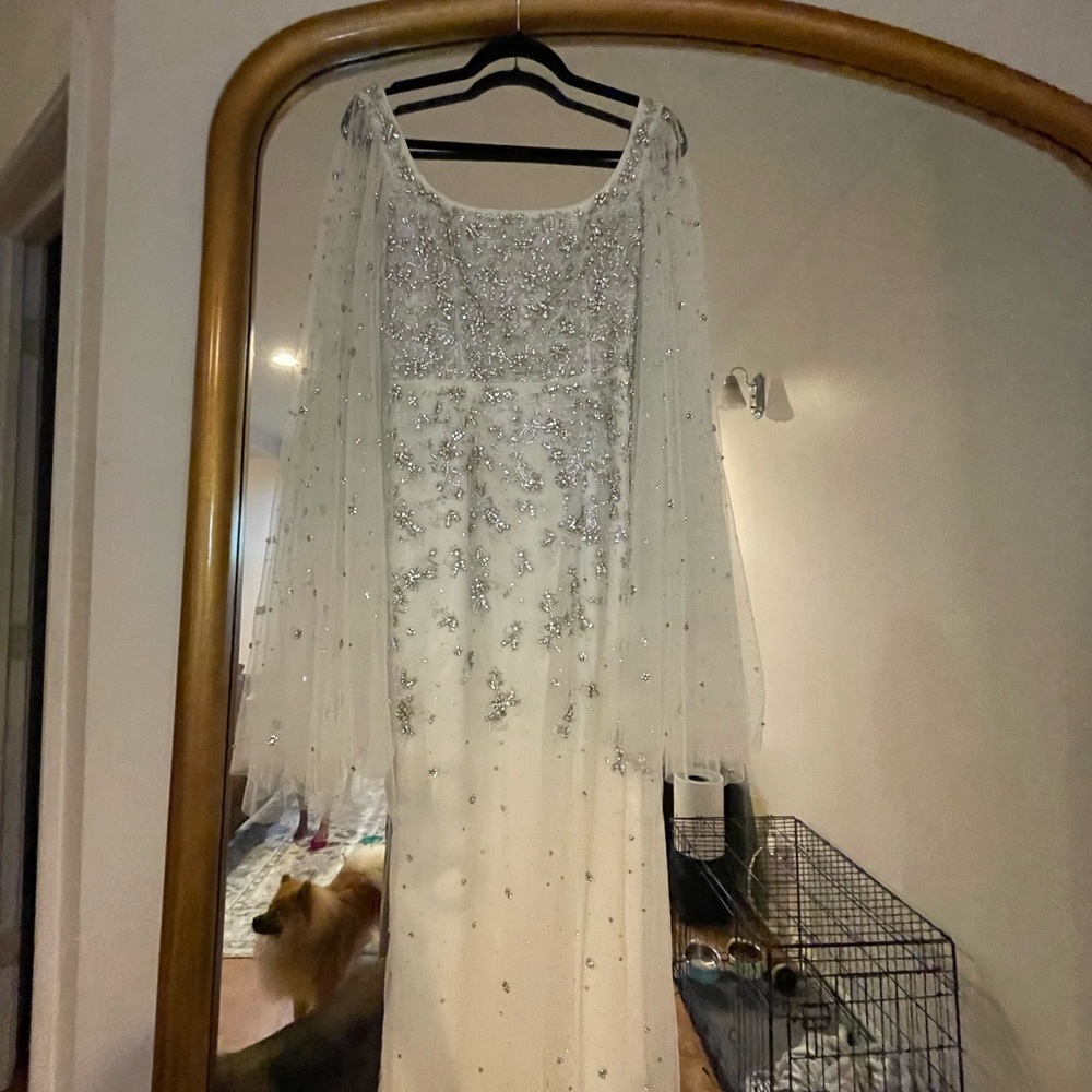 DENNIS BASSO GOWN (WEDDING GOWN) - Picture 9 of 10
